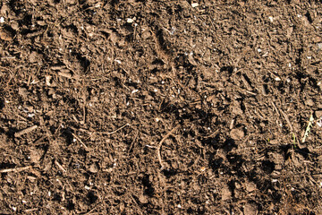 textured fertile soil background. gardening season.