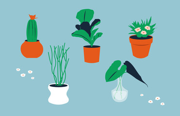 Illustration set including different types of houseplants. Cactus, flowers, leafy greens. Transparent vases and clay pots