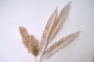 synthetic feather of bird for background, abstract design.