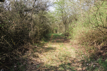 Idyllic and sunny day in Oderbruch, Brandenburg, Germany
