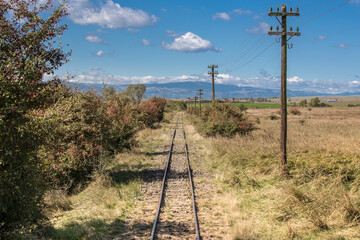 Narrow-gauge Railway in Sibiu County, Transylvania, Romania
