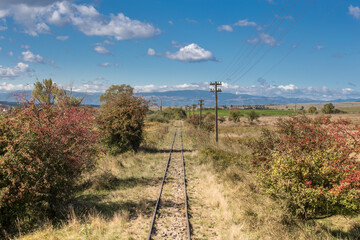 Narrow-gauge railway in Sibiu County, Transylvania, Romania - 501090409