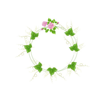 Beautiful circle picture frame made from green leaves and pink roses. Copy space for your text. Vector illustration.