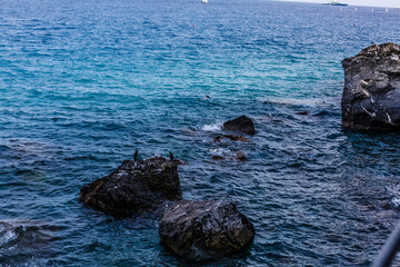 Sea and stone, coast of Liguria.