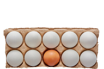 Nine white and one colored eggs on a cardboard stand on a white isolated background, copy space