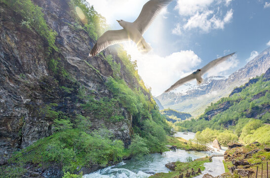 Deep valley with river of Norwegian fjords against seagulls close the train journey Flamsbana between Flam and Myrdal in Aurland in Western Norway