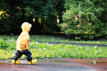 yellow raincoat boy look, autumn seasonal walk in the park