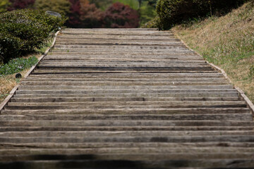 Fototapeta premium wooden stairs installed on the hill