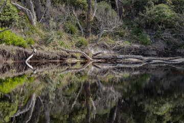 Reflections in Telegraph Creek, Jervis Bay, NSW, April 2022