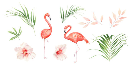 Watercolor flamingo illustration for decorative design. Summer tropical clipart. Zoo collection. Exotic floral set © Victoria Pak