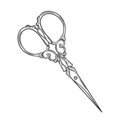 Hand drawn illustration of vintage scissors. Vector line drawing isolated on white background.