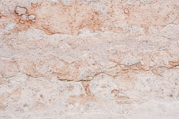 Pink Wall Texture Background. Abstract Painted Wall Surface. Copy Space For design