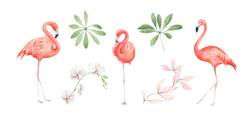 Watercolor pink flamingo illustration for decorative design. Summer tropical clipart. Zoo collection. Exotic floral set