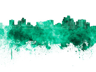 Reno skyline in green watercolor on white background