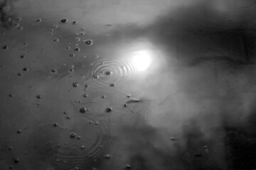 reflection of sun in muddy puddle. black and white photo. spring autumn mood