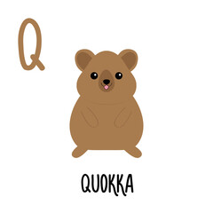 Letter Q Quokka. Animal and food alphabet for kids. Cute cartoon kawaii English abc. Funny Zoo Fruit Vegetable learning. Education cards. Isolated. Flat design. White background.