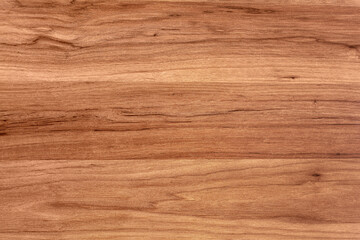 Smooth wood texture. Design blank. Wood background