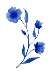 Abstract image of blue orchid flowers on white background.