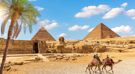 Fototapeta na wymiar Wonderful Palm tree by The Great Sphinx and the Egypt Pyramid, Giza, Africa