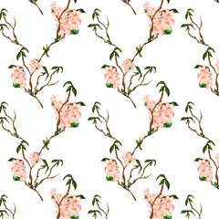 Blossom cherry tree seamless pattern watercolor on white