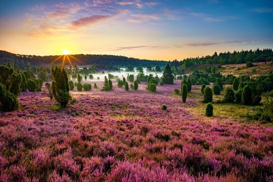 Sonnenaufgang am Totengrund