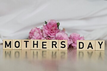 Różowe goździki z napisem Dzień Matki po angielsku na jasnym tle - obrazy, fototapety, plakaty
