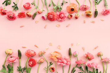 Top view image of pink buttercup flowers composition over pastel background