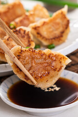 Pan-fried gyoza dumpling jiaozi in a plate with soy sauce on white table background.