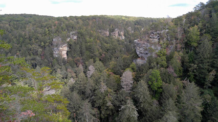 Fototapeta na wymiar Mountain with stone and trees