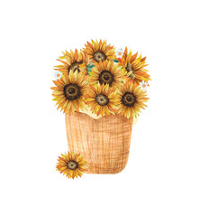 Watercolor wicker basket with sunflowers. Hand drawn Illustration isolated on white background. Design for stickers, greeting cards, posters.