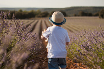 niño jugando entre lavanda