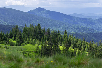 Fototapeta na wymiar Carpathian mountains in summer on a beautiful sunny day. Unique pristine nature of the Carpathians - a landscape of summer mountains for wallpaper. Carpathian, Ukraine. Beauty world.