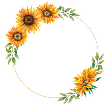 Watercolor hand drawn sunflower wreath. Floral wreath for wedding invitations, greeting cards. 