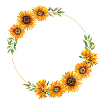Watercolor sunflower wreath. Hand drawn sunflower arrangement isolated on white 