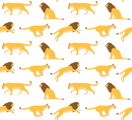 Vector seamless pattern of flat lions isolated on white background