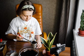 teenage girl transplants indoor plants, plant care at home, watering, feeding. I like to grow indoor plants. Concept of home garden. Spring time.