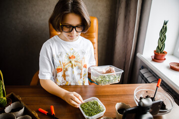 teenage girl transplants indoor plants, plant care at home, watering, feeding. I like to grow indoor plants