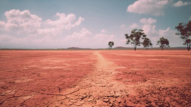 cracked ground dry land during the dry season