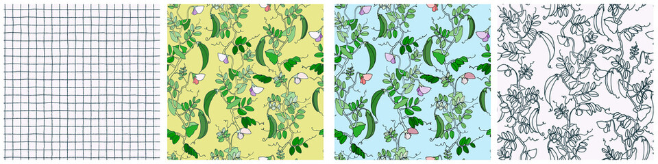 Seamless repeating patterns set. Pea plant with pods and flowers. Colorful vector illustration on vibrant blue background with shade for surface design and other design projects - obrazy, fototapety, plakaty