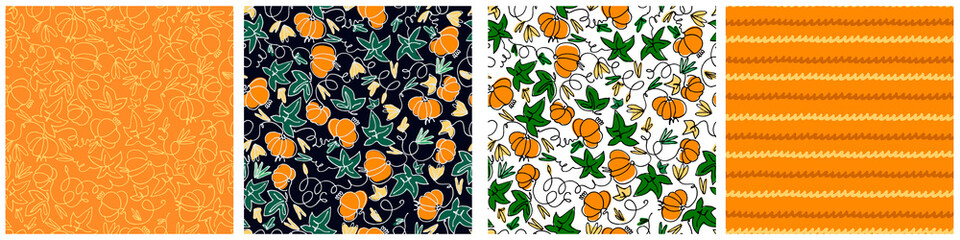 Seamless patterns set with pumpkins on white background. Hand drawn vector illustration. Healthy vegetables concept, autumn concept, Halloween concept