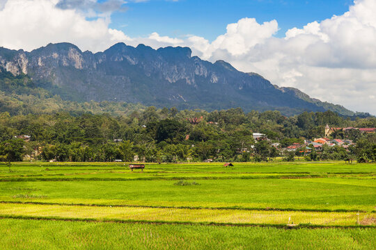 Limestone peaks including 1231m Gunung Buntu Sarira and rice paddies in the River Sadang valley, Sarira, Toraja, South Sulawesi, Indonesia