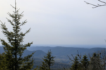 Les Vosges depuis le Donon - Sommet du massif des Vosges - France