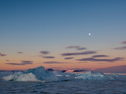 A group of emperor penguins (Aptenodytes forsteri), on the ice near Snow Hill Island, Weddell Sea