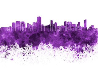 Obraz premium Salvador de Bahia skyline in purple watercolor on white background