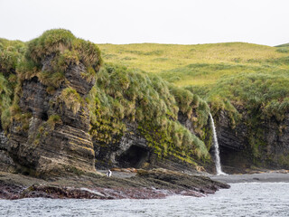 A waterfall drops to the beach where elephant seals are hauled out on Annenkov Island, South Georgia