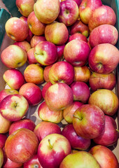 Fresh Red Apples in Fruit Market 