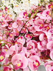 Close up of Artificial Pink Orchid Flowers 