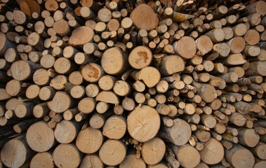 Stacked loggs of fire wood texture background.