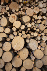 Stacked loggs of fire wood texture background.