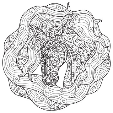 Horse hand drawn for adult coloring book